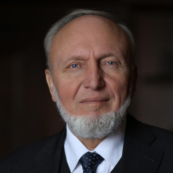 Hans-Werner-Sinn-DRP